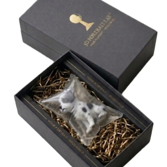 Custom 3D pet figurine packaged in a branded gift box