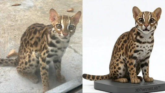 Custom 3D cat figurine showing tabby coat pattern and individual markings