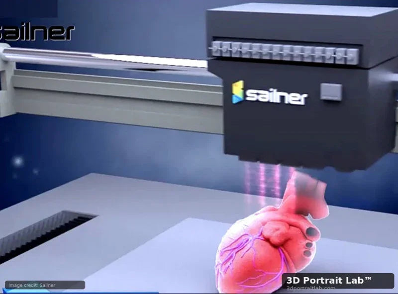 WJP Sailner industrial 3D printer used for full-color figurine production