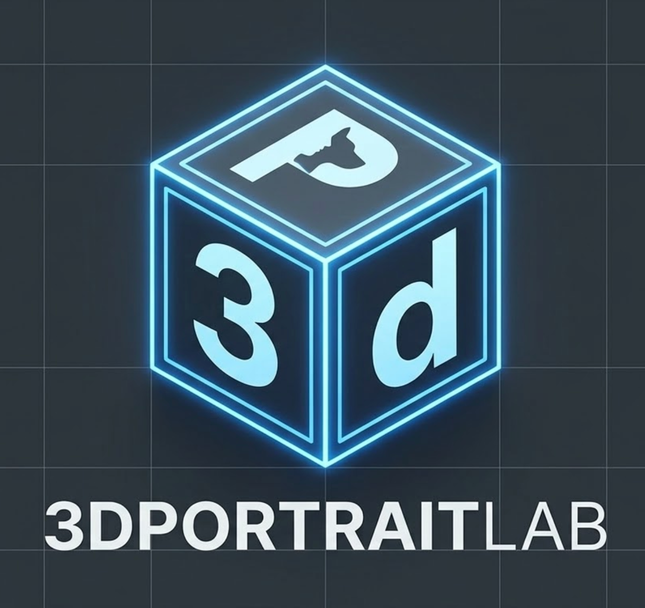 3dportraitlab