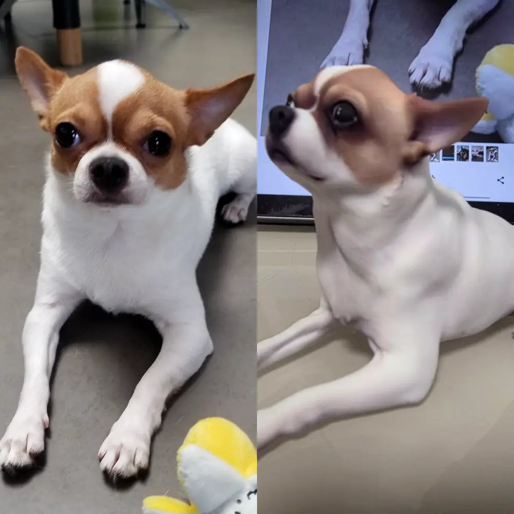Photo and 3D figurine of a white and tan Chihuahua shown side by side
