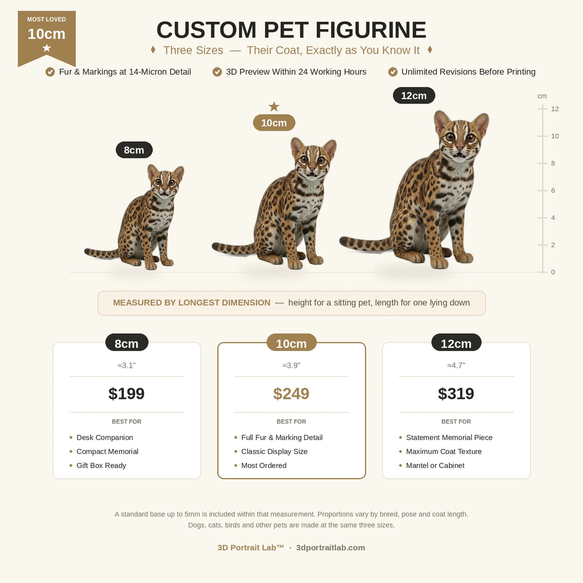 Custom pet figurine size guide — 8cm, 10cm and 12cm compared on a cm ruler with prices, measured by longest dimension
